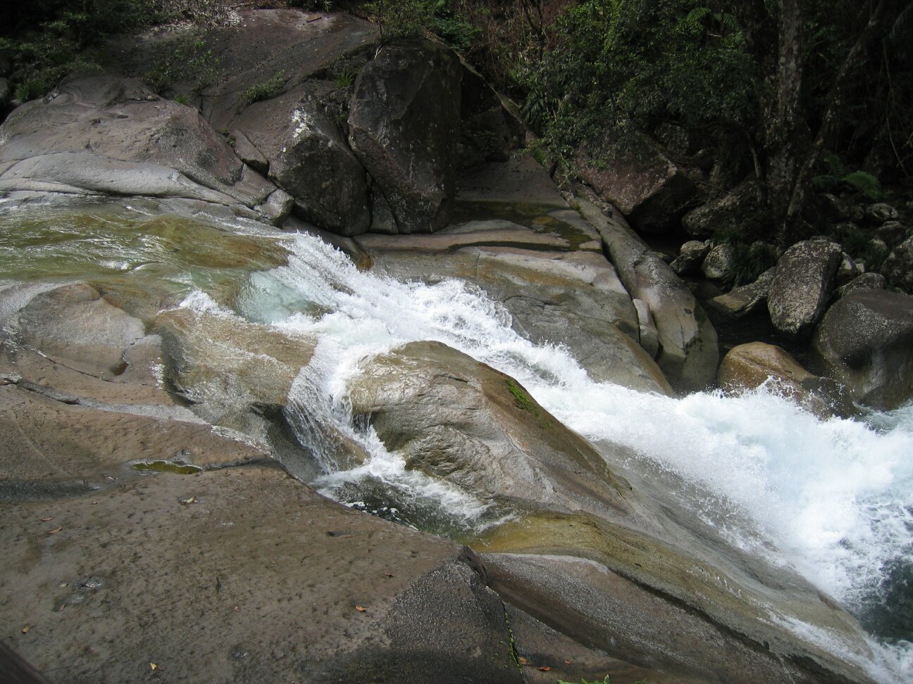 IMG_4141.jpg